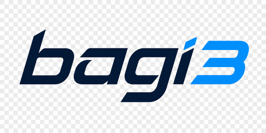 bagi3